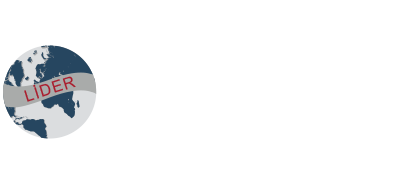 lider elektrostatik boya tesisi logo